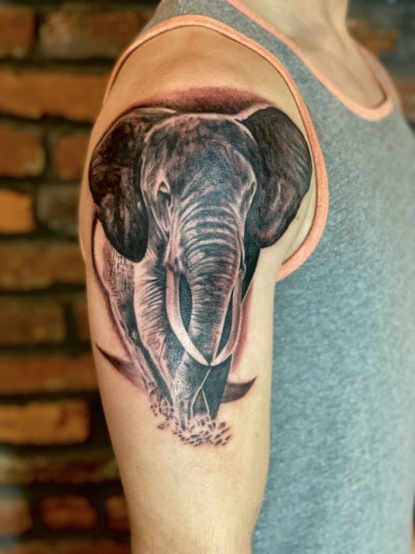 #2 Brian, Black _ Grey realism Tattoo, Elephant half sleeve