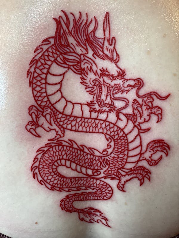#25 Brian, All Red Ink fine line Tattoo, Dragon Back