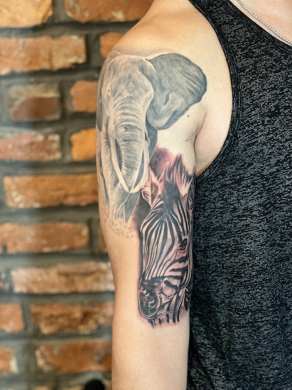 #4 Brian, Black _ Grey realism Tattoo, Healed Elephant with Zebra add on half sleeve