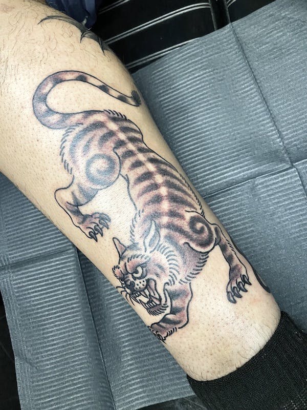 30 Ashley, American Traditional Tattoo, tiger