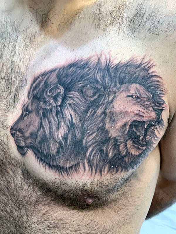 3Matt-black and gray realistic lions tattoo on chest
