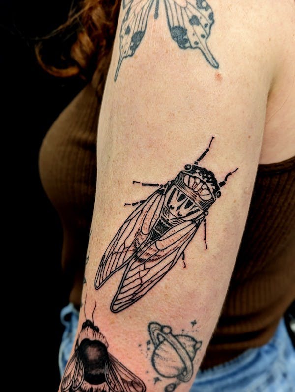 Locust tattoo by Jacqi, artist at Fattys Tattoos & Piercings