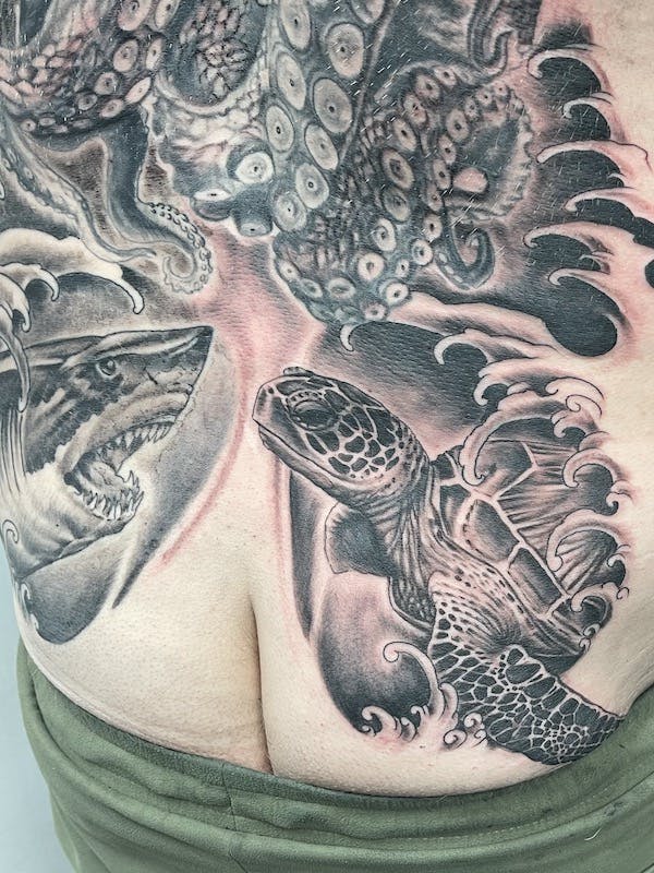 turtle Tattoo by Mikey, Fattys Tattoos & Piercings